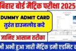 Bihar Board Matric Dummy Admit Card 2025